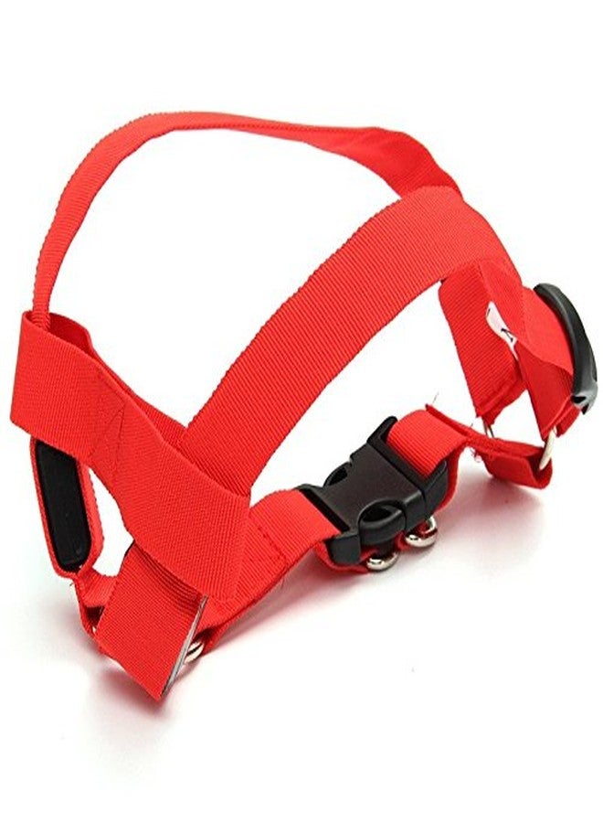 فوتابا ضوء وامض LED للكلاب من فوتابا، 3 أوضاع - أحمر - صغير - Image 2